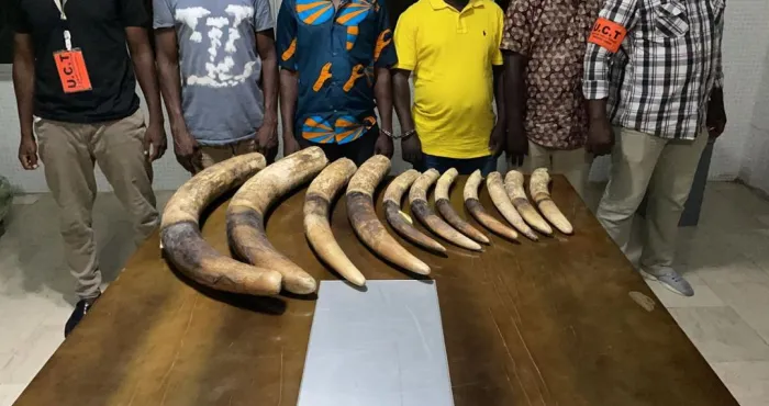 cote-divoire-de-presumes-trafiquants-divoires-et-un-ex-depute-mis-aux-arrets